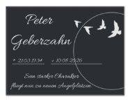 ein Bild aus dem Album